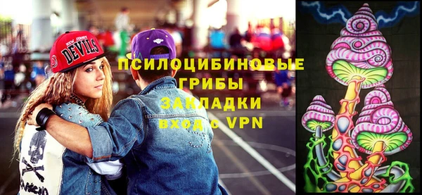 индика Абинск