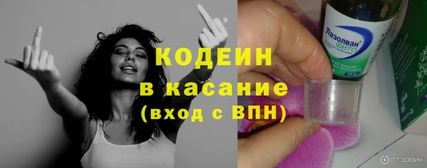 индика Абинск
