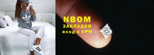 индика Абинск