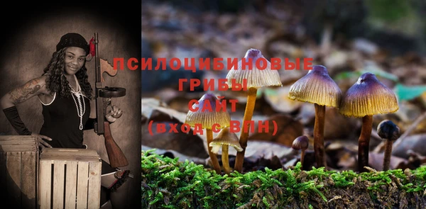 прущая мука Абаза