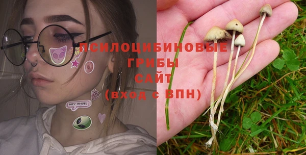 индика Абинск