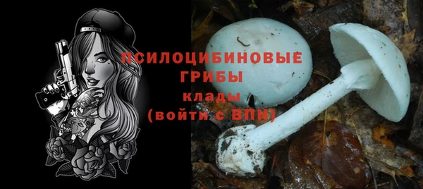 спайс Абдулино